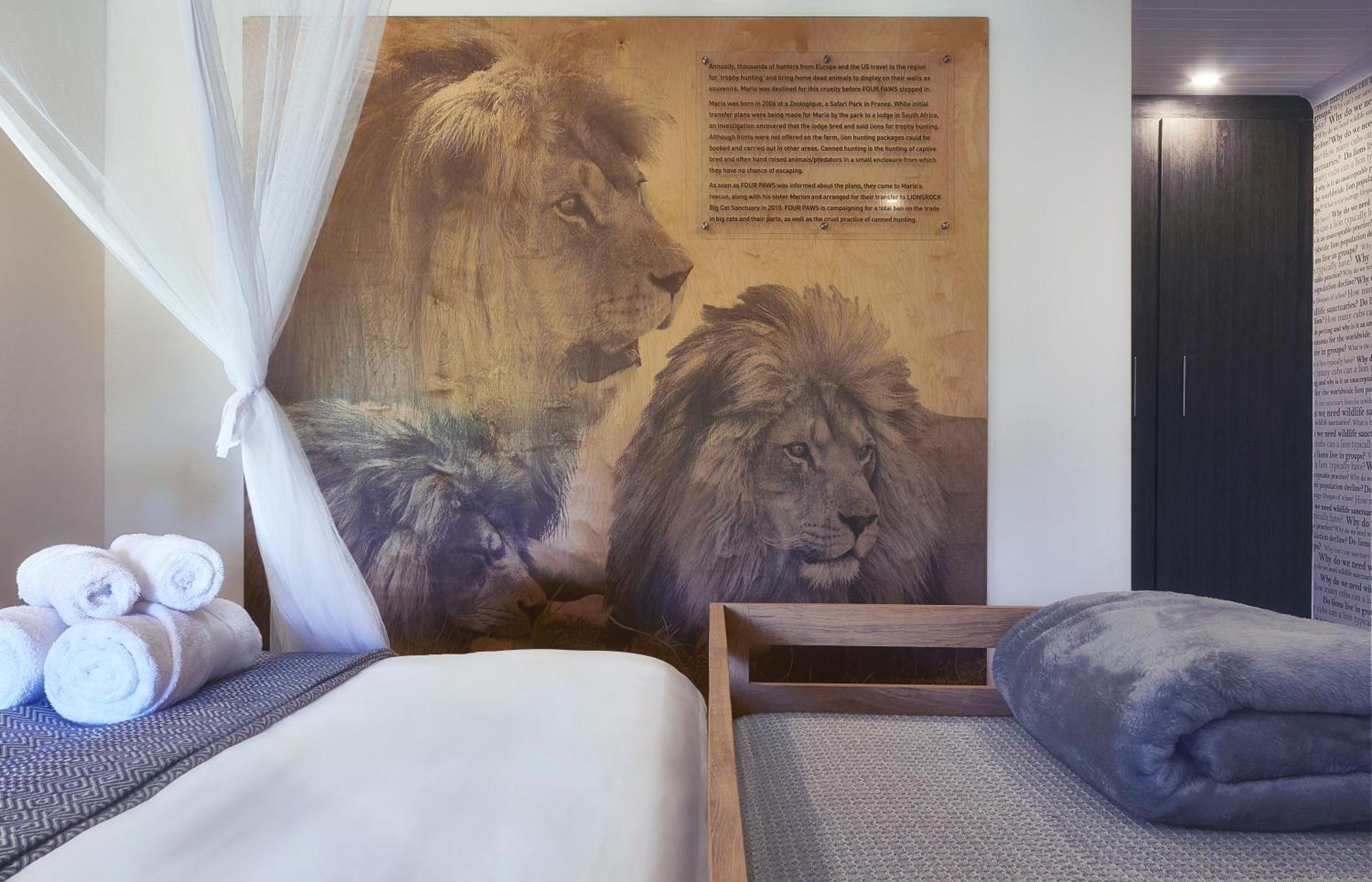 Lionsrock Big Cat Sanctuary Villa Bethlehem Bagian luar foto